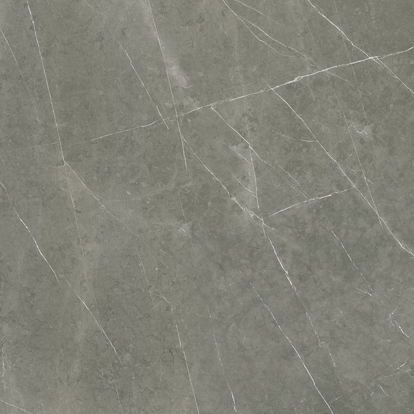 ALTAMURA GRAY 120X120 PUL