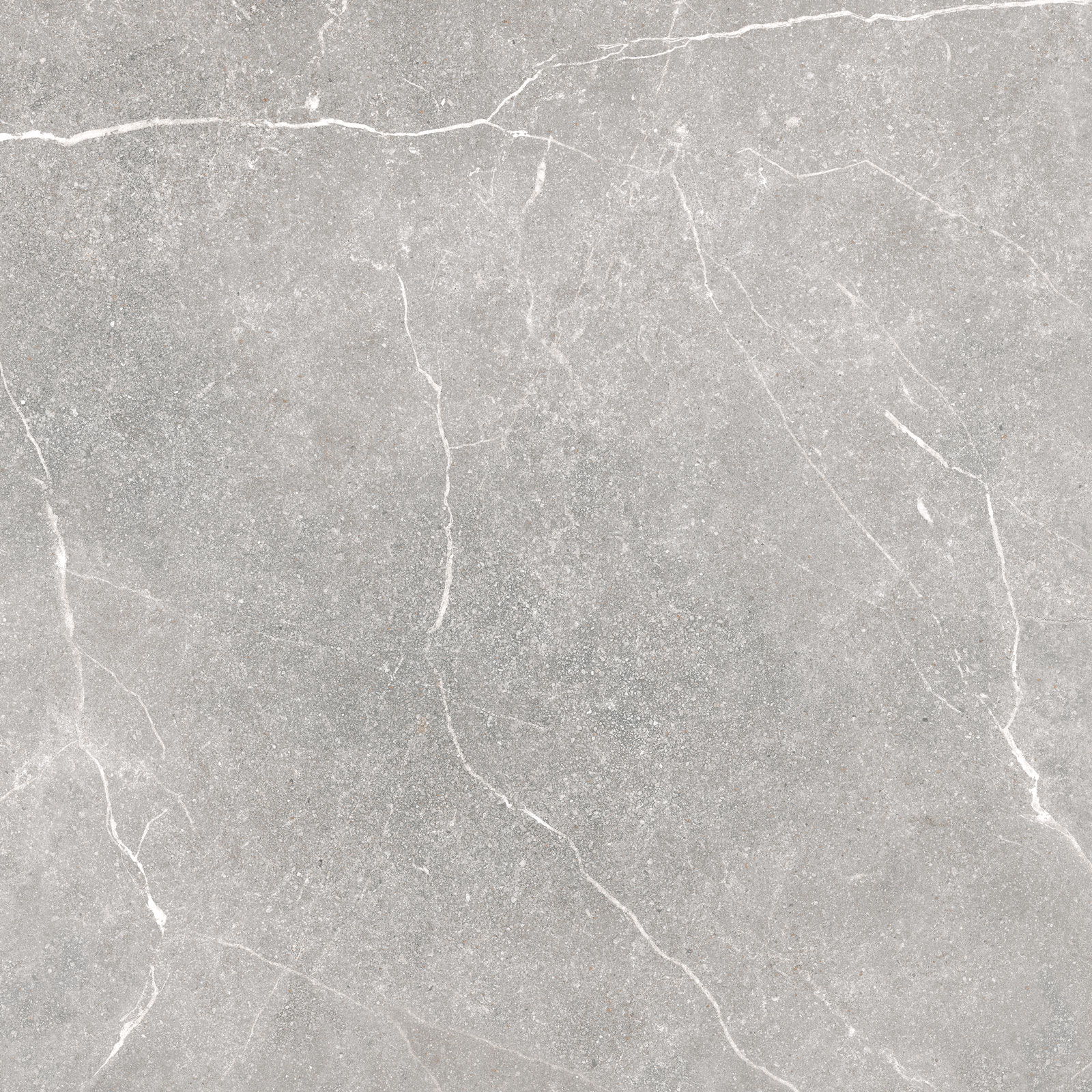 SOAPSTONE SILVER 100X100