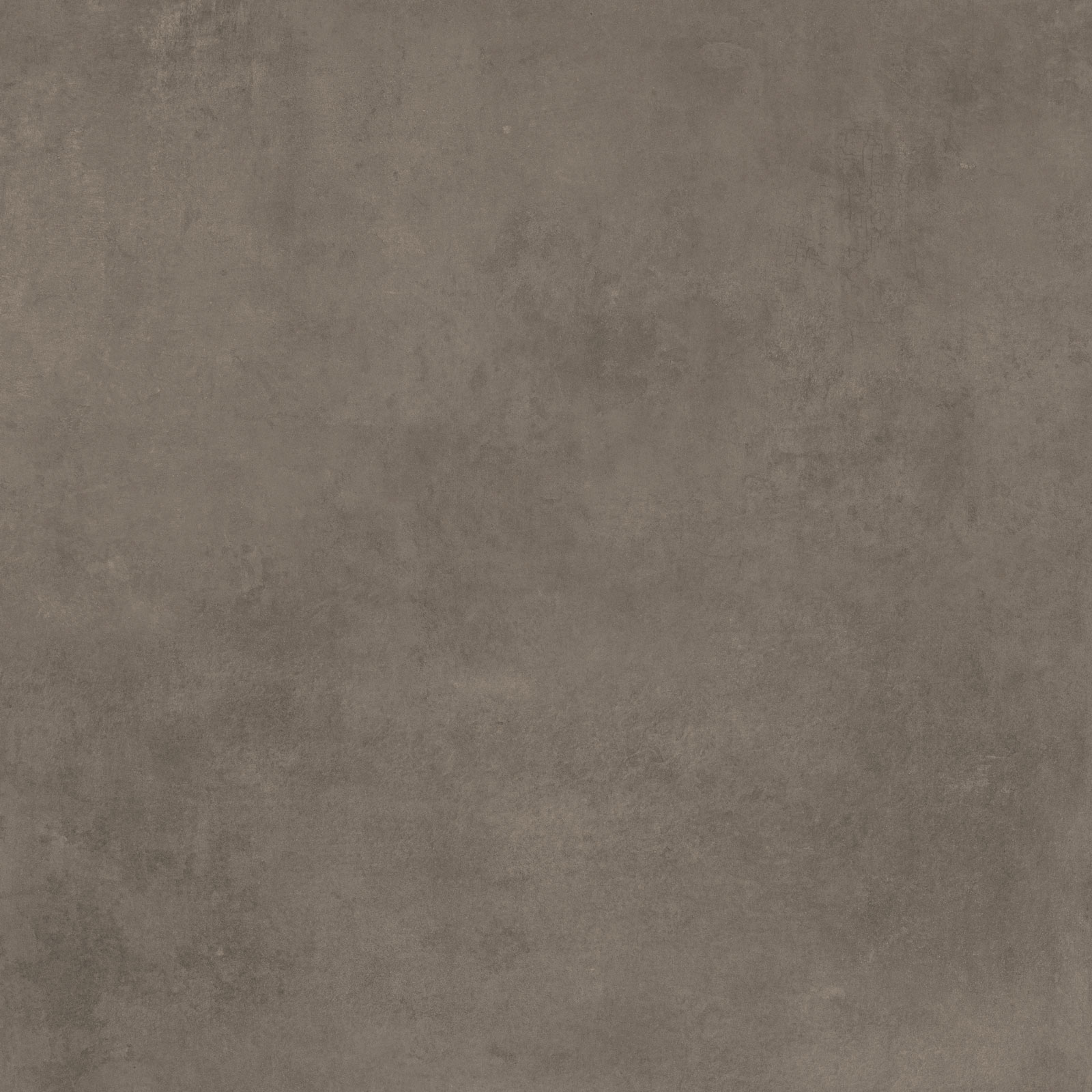 MAISON TAN 100X100 REC