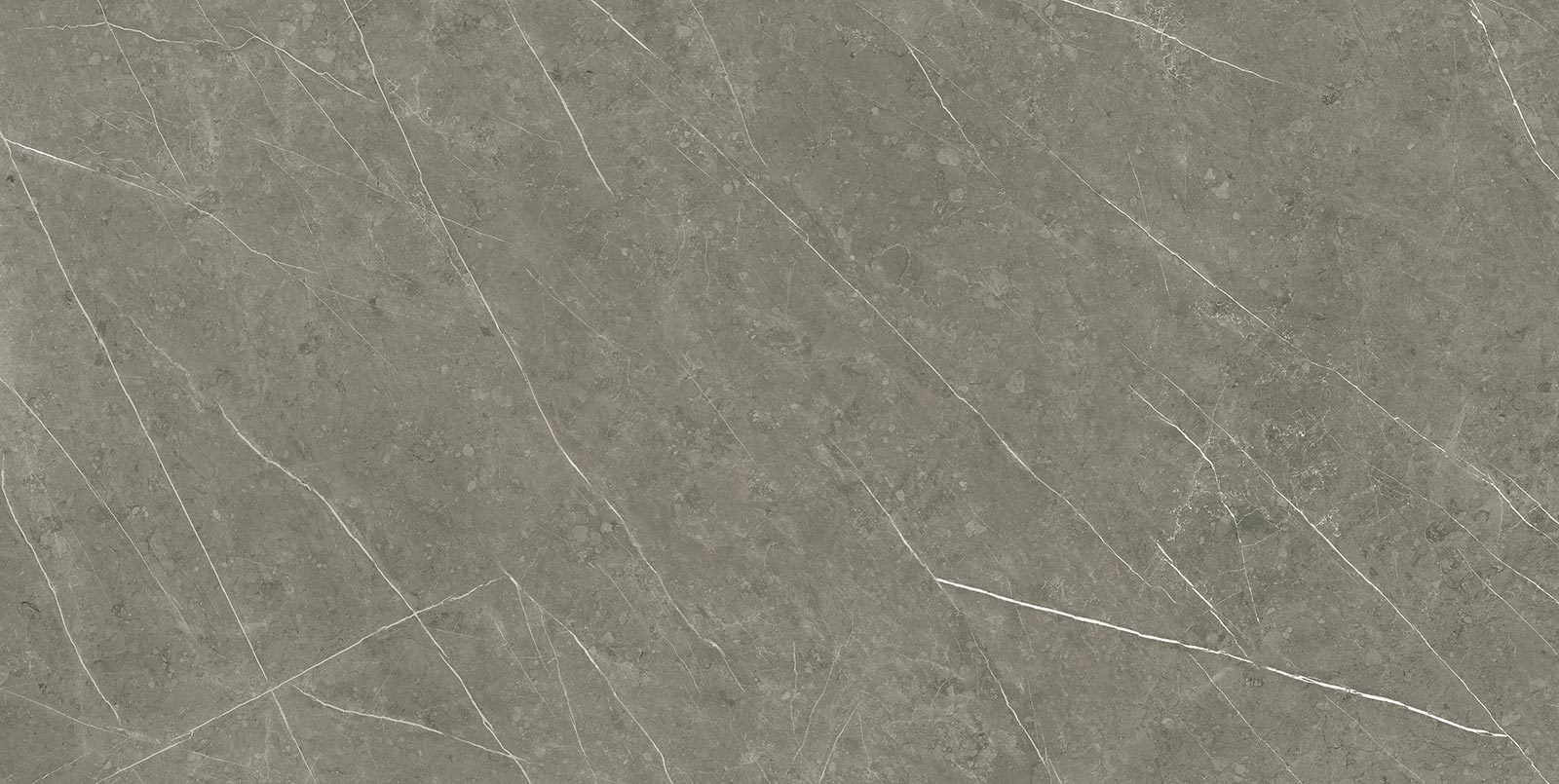 ALTAMURA GRAY 75X150 REC