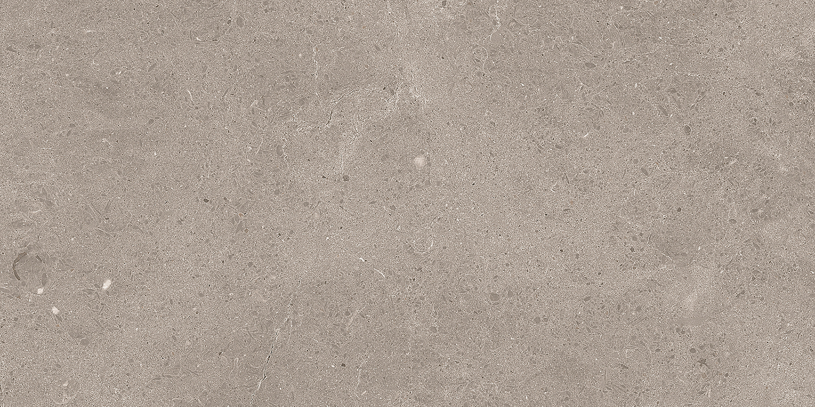 SERENASTONE SAND 30X60 (F) REC