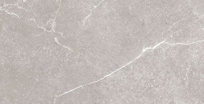 SOAPSTONE WALL SILVER MATT 30X60 (F) REC