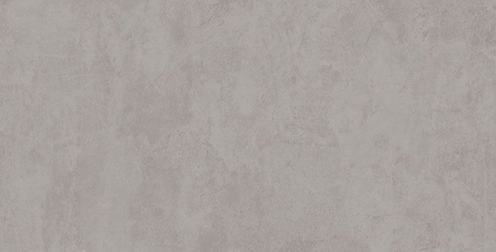 DEVON WALL SILVER MATT 30X60 (F) REC