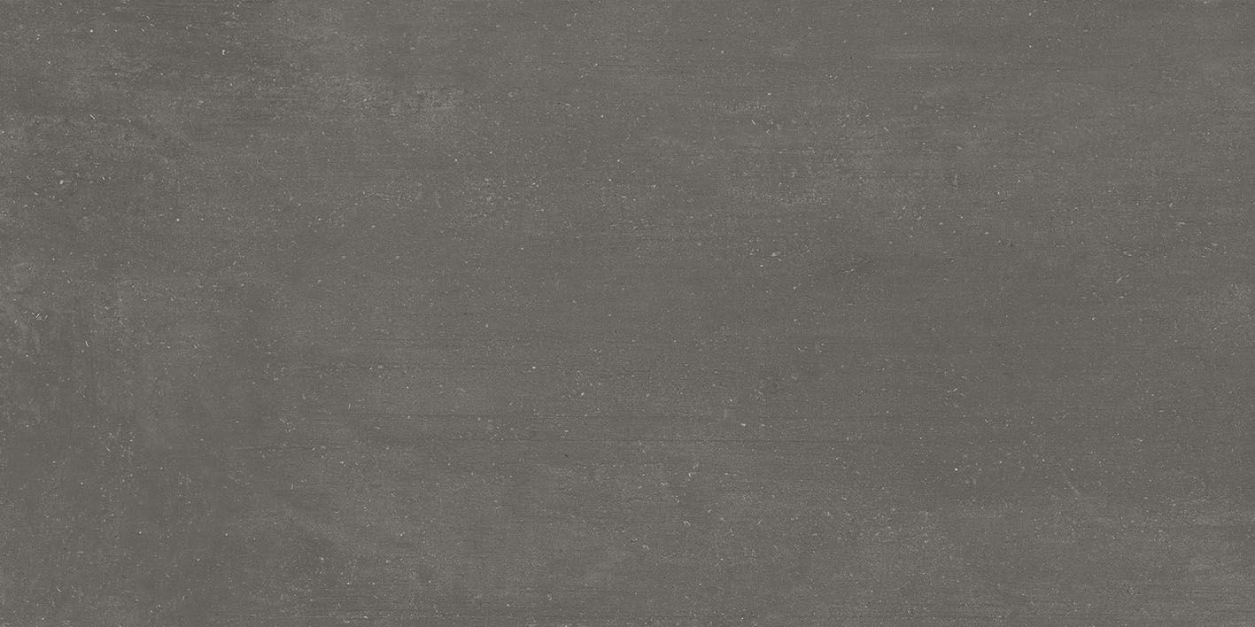 LEMA GRAPHITE 60X120 REC