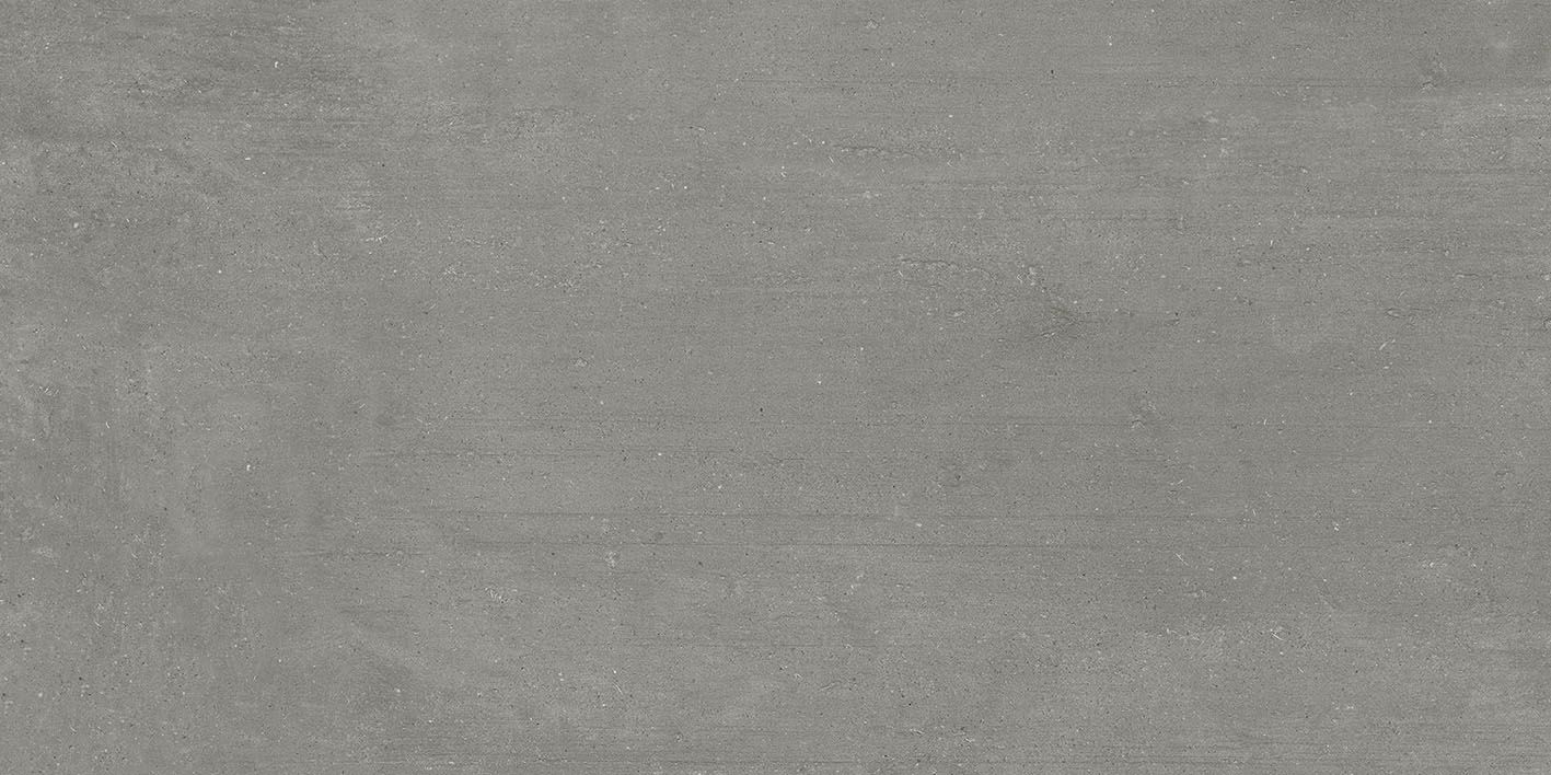 LEMA GRAY 60X120 REC