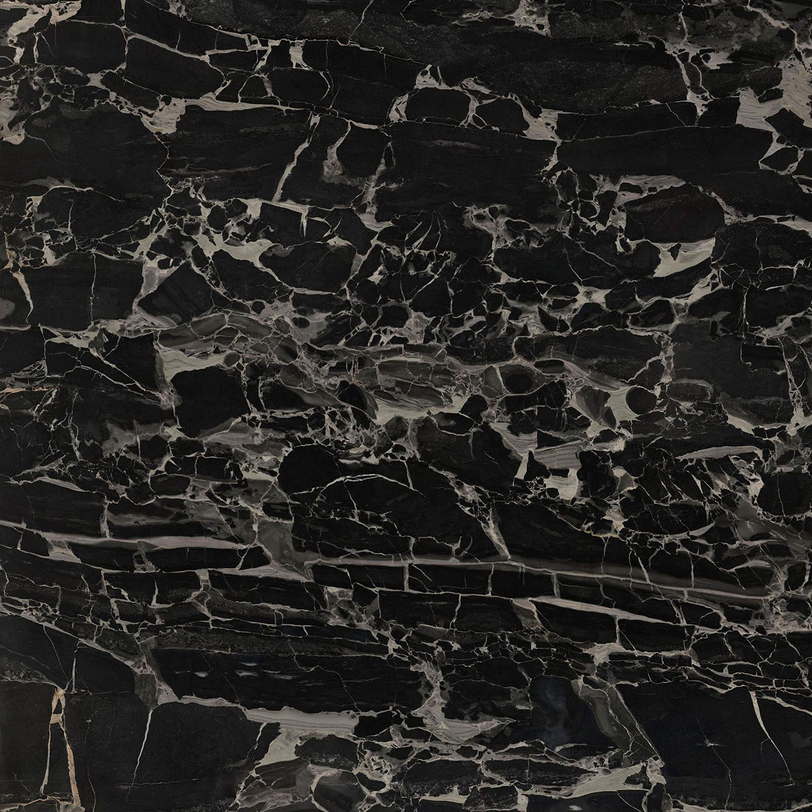 PANTHER BLACK 120X120 PUL