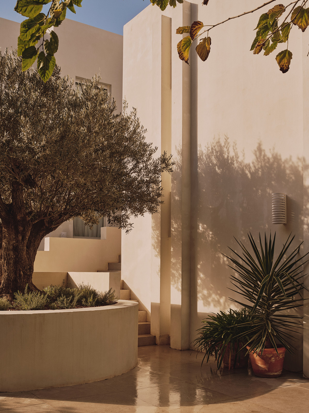 Casa Desert