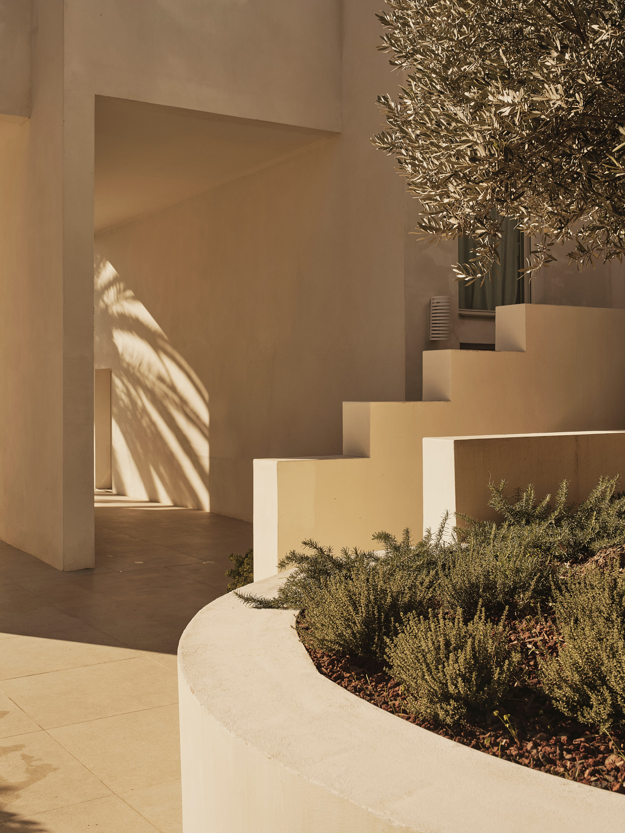 Casa Desert