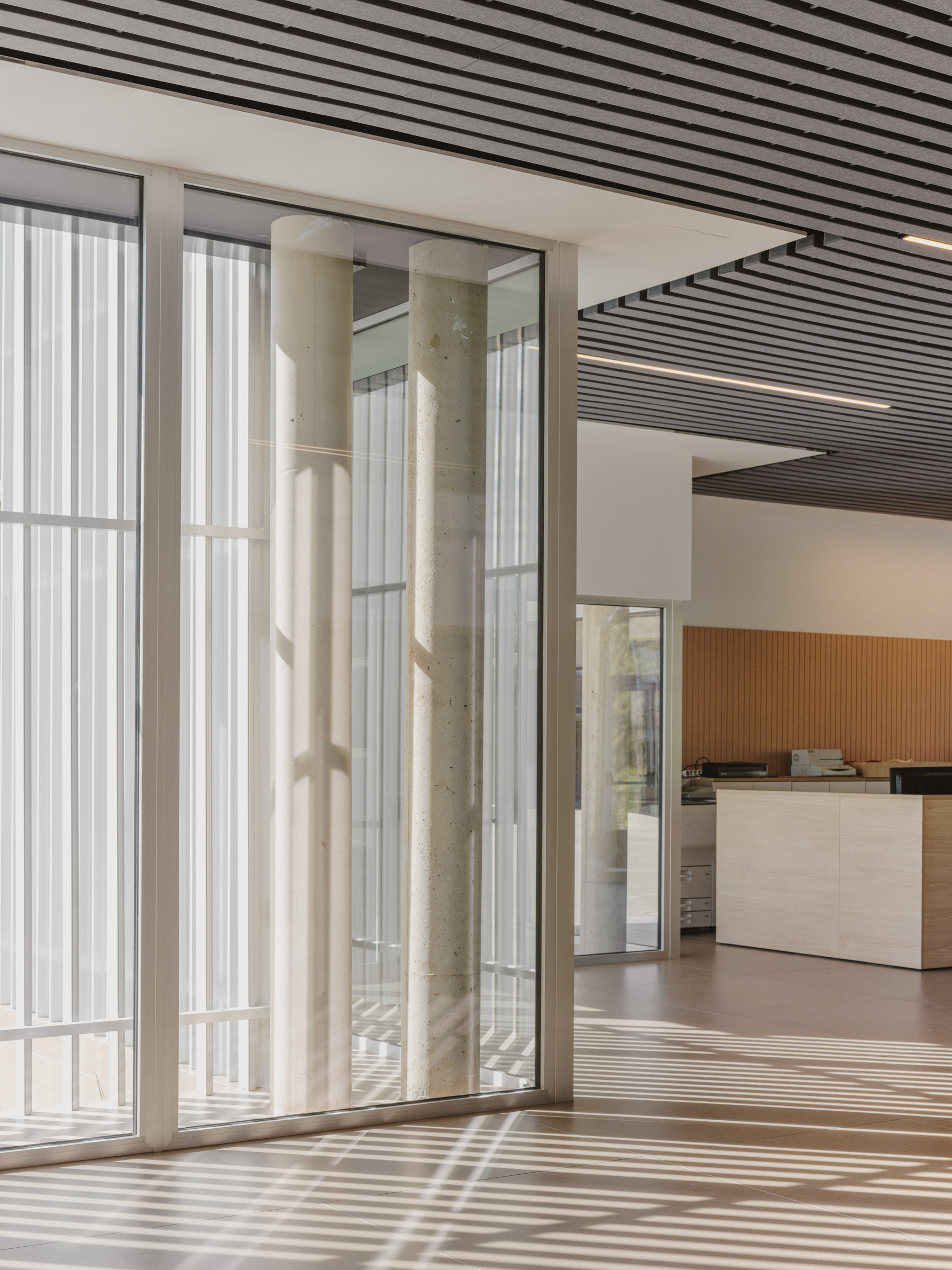 IES Cotes Baixes : Un espace conçu pour transformer